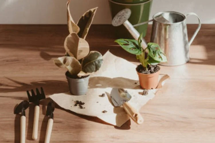 The 15 Best Gardening Tool Sets of 2023