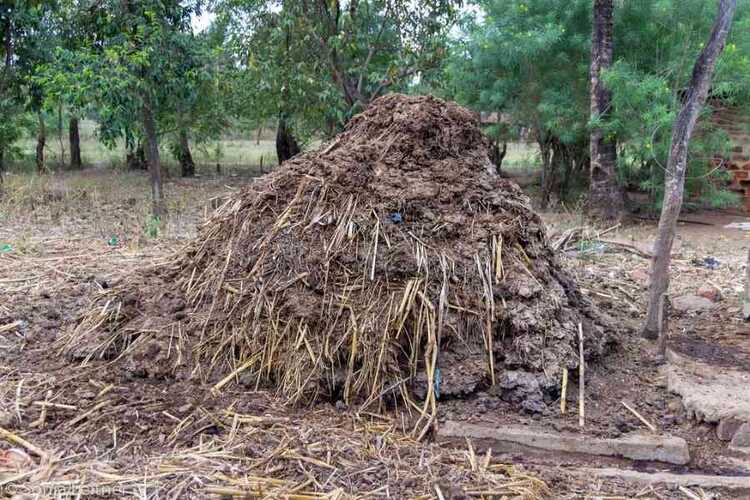 How To Store Compost? 9 Tips For The Best Storing Swipe Garden